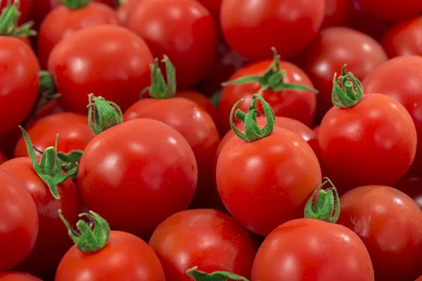 Rote und frische Tomaten — Stockfoto