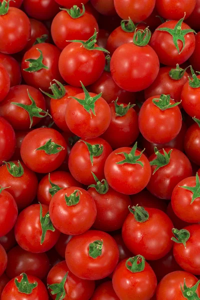 Червоний і свіжий помідор — стокове фото