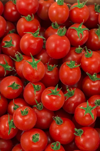 Червоний і свіжий помідор — стокове фото