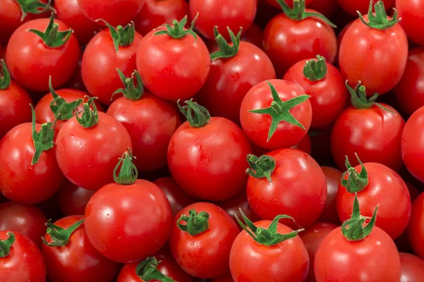 Um conjunto de mini-tomate foto — Fotografia de Stock