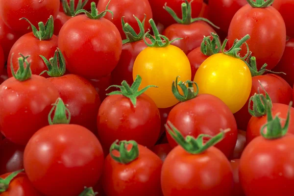 Red and fresh tomato — Stock Photo, Image