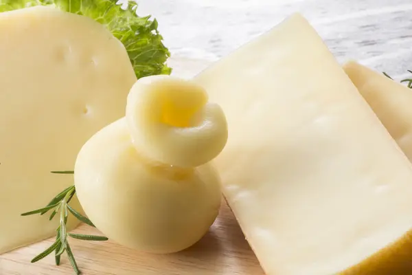 Coleção de delicioso queijo — Fotografia de Stock