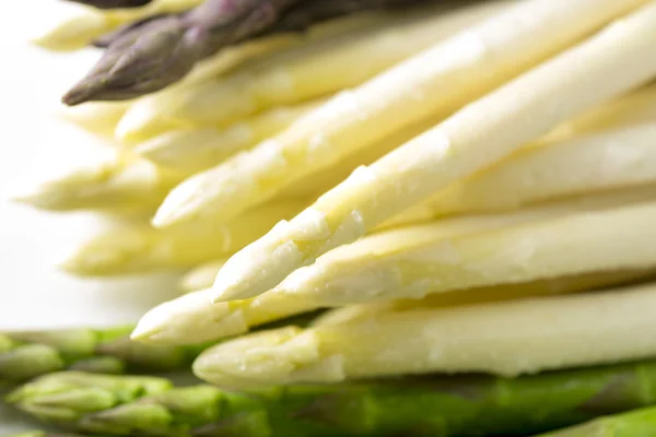 Verse asperges gerechten — Stockfoto