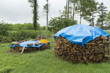 Yakacak odun için Isıtma, kurutma