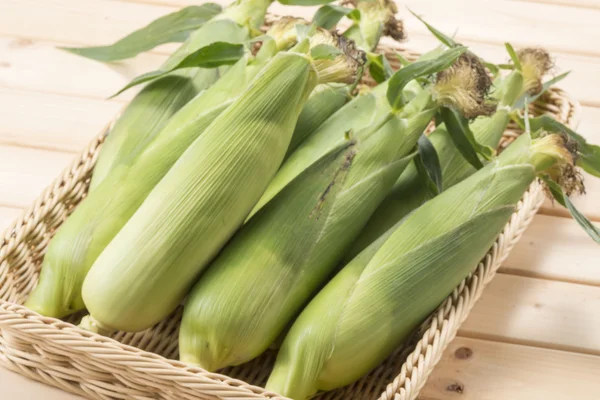 Verse Heerlijke Maïs Geoogst Het Veld — Stockfoto