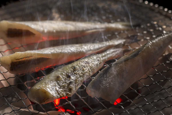 Verse Heerlijke Gegrilde Vis — Stockfoto