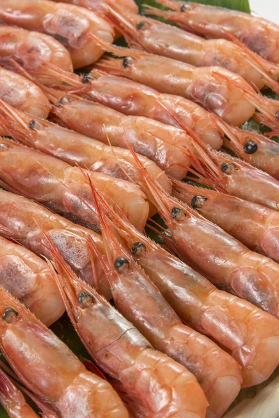 Plats Japonais Crevettes Sashimi Frais Délicieux — Photo