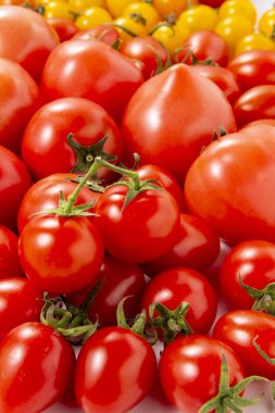 Tarlada toplanan lezzetli domateslerin toplanması