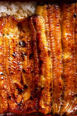 Geleneksel yemekler taze Japon yılan balıklarıyla pişirilir.