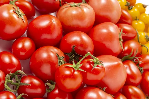 Tarlada toplanan lezzetli domateslerin toplanması