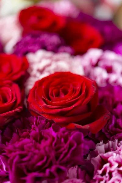 Mur Fait Nombreuses Fleurs Rose — Photo