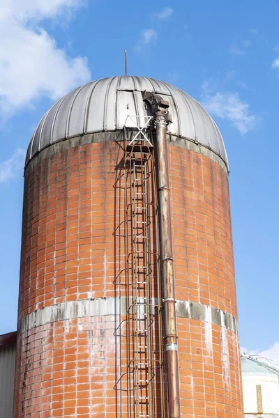 Silo Stores Grass Dairy Facility — Stock Photo, Image