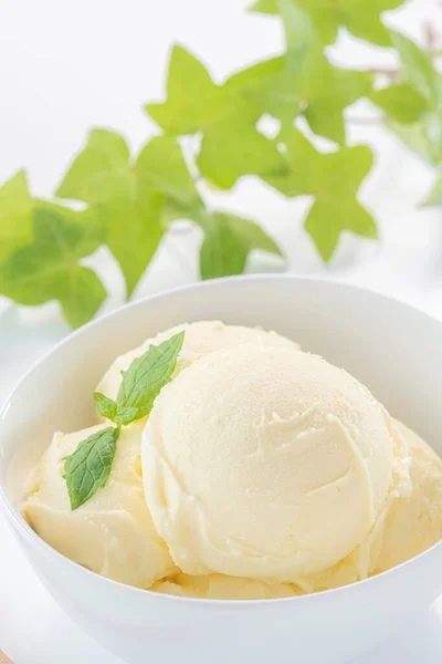 Delicioso Gelado Macio Feito Com Leite Fresco — Fotografia de Stock