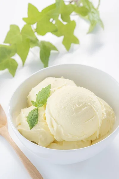 Delicioso Gelado Macio Feito Com Leite Fresco — Fotografia de Stock