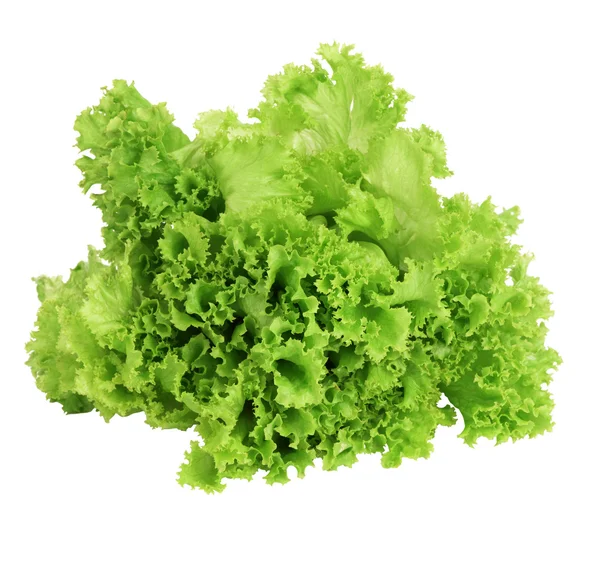 Fresh green lettuce leafs isolated on white background — Stock Photo, Image