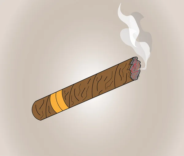 Illustration vectorielle d'un cigare de luxe Havane avec étiquette. Un cigare. Un cigare cher — Image vectorielle