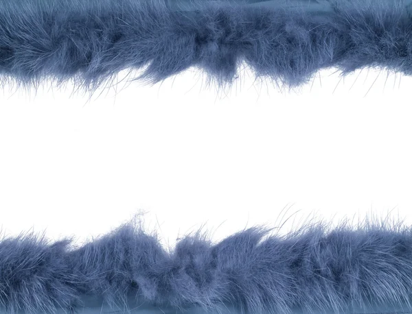 Strip of fur isolated over the white background — Stock Photo, Image