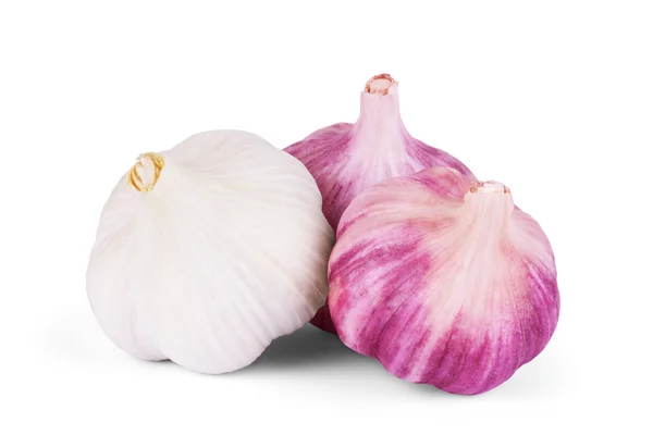 Garlic. Group isolated on white background. — Stock Photo, Image