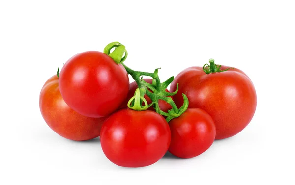 Vue de dessus des tomates fraîches, entières et demi-coupées, isolées au fouet — Photo
