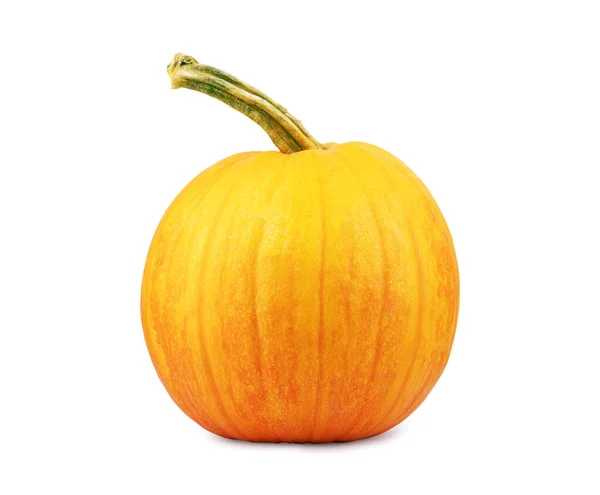 Calabaza Aislada Sobre Fondo Blanco — Foto de Stock