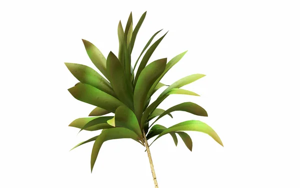 Tropical Palm Leaves White Background Render Natural Composition Branches Advertising — Stock Photo, Image