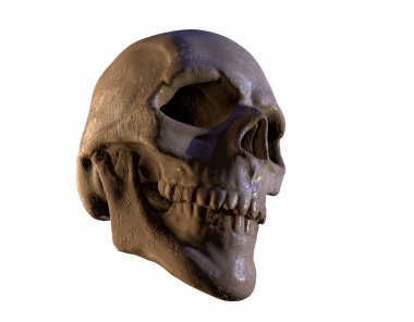 Rich Colors 'daki insan kafatası beyaz bir zemin. Ölüm konsepti, korku. Ürkütücü Cadılar Bayramı 'nın sembolü. 3d resimleme.