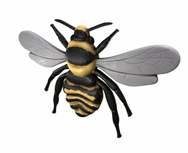 Gerenderte Honigbiene Apis Mellifera — Stockfoto