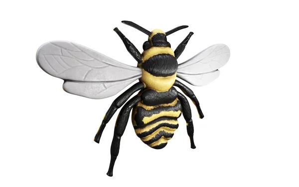 Оказали Apis Mellifera Медовая Пчела — стоковое фото