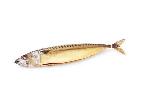 Räucherfisch Ohne Kopf Isoliert Auf Weißem Hintergrund — Stockfoto