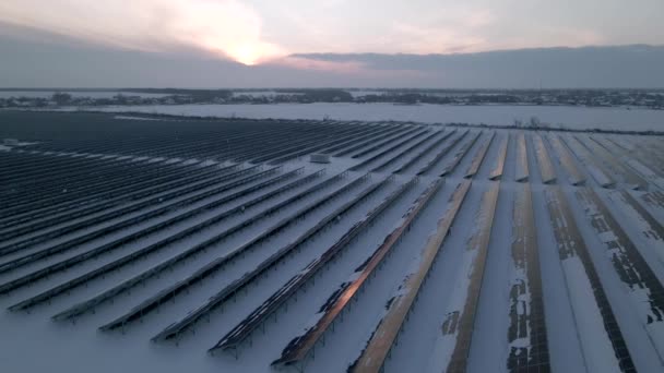 Drohnen fliegen über Solarfarm. Erneuerbare grüne Energie und Elektrotechnologie. Feld der Sonnenkollektoren steht in einer Reihe in den Feldern für die Stromerzeugung im Winter Sonnenuntergang. Grünes Energiekonzept. — Stockvideo