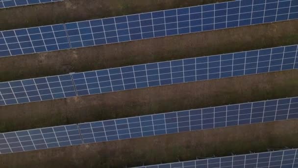 Vista aérea de arriba hacia abajo de grandes paneles solares en una granja solar a principios de la puesta del sol de primavera. Plantas de energía solar. vídeo de imágenes 4k. — Vídeo de stock