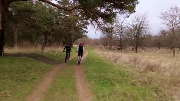 Slow motion aerial shot of young sport men ride bicycles on forest road at spring cloudy evening. Healthy cycling lifestyle — Stock Video