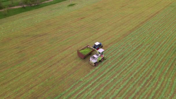 Luftaufnahme von modernen Erntemaschinen, die Gerste auf Traktoranhänger verladen. Konzept von: Traktor, Ernte, Drohnen-B-Roll-Filmmaterial, Öko. — Stockvideo