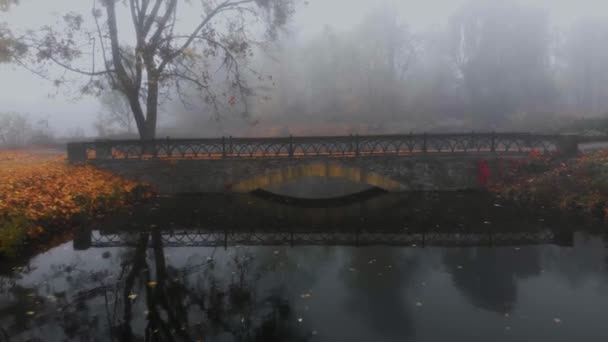 秋の公園の霧の中で小さな湖の近くの小さな橋やカラフルな木の空中ドローンショット — ストック動画
