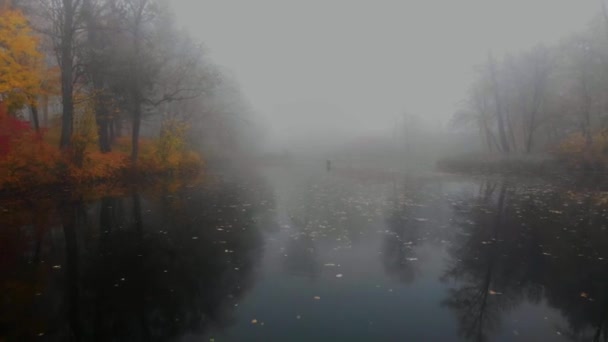 Aereo drone colpo di alberi colorati sopra piccolo lago nella nebbia nel parco autunnale — Video Stock