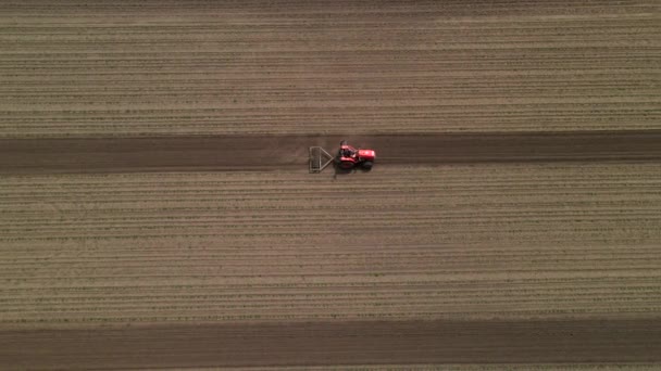 Agrícola pequeño tractor rojo en el arado de campo, trabaja en el campo. Volando sobre un tractor trabajando en el campo. Tractor arada el campo de visión en cámara lenta aérea. — Vídeo de stock