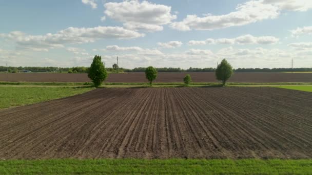 Agricultura Campos agrícolas que crecen en la naturaleza, Plow Ground, Suelo para siembra, Vuelo en ángulo bajo aéreo. — Vídeos de Stock