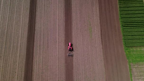 Сільськогосподарський червоний невеликий трактор в польових оранках, працює в полі. Політ над трактором, що працює в полі. Трактор плутає польовий повітряний повільний перегляд . — стокове відео