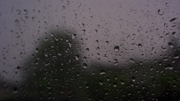 Primer plano de gotas de lluvia goteando en la superficie del vidrio de la ventana con árboles verdes balanceándose en el viento en el fondo durante una fría ducha de verano — Vídeos de Stock