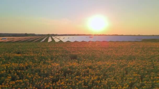 Flygdrönare vy in i stora solpaneler på en solgård vid ljus solnedgång. Solcellsanläggningar. HDR-video 4k. — Stockvideo