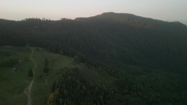 Bulutlu bir günde yeşil ormanın üzerinde uçarken ufukta parlayan bulutlarla dağların üzerinde. Karpat Dağları, Avrupa. 4k renk düzeltilmiş görüntü. Klasik Avrupa ormanlarının havadan görünüşü