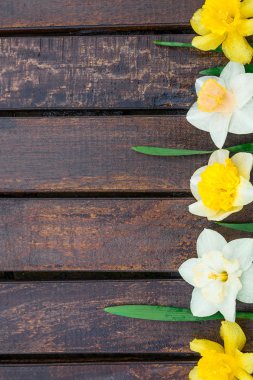 Nergis ahşap arka plan üzerinde.