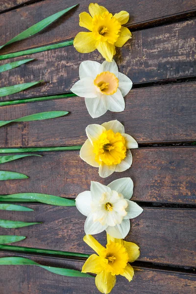 Narcissus på trä bakgrund. — Stockfoto