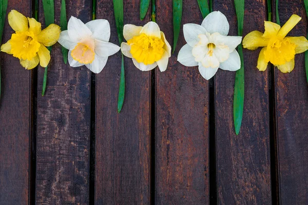 Narcissus op de houten achtergrond. — Stockfoto