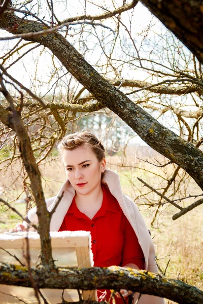 Женщина в красном платье стенд возле сухого дерева рисует, вид сверху — стоковое фото