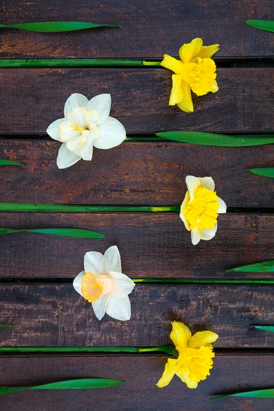 Narciso sullo sfondo di legno . — Foto Stock