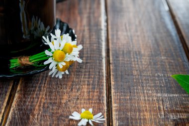 Papatya ile çay fincan