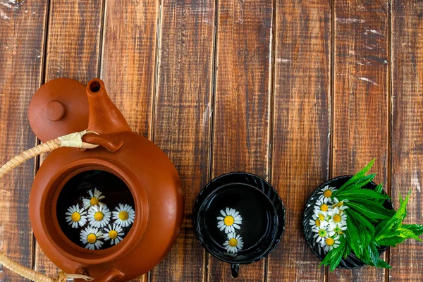 Kamilla virág nyílt, barna teáskanna — Stock Fotó