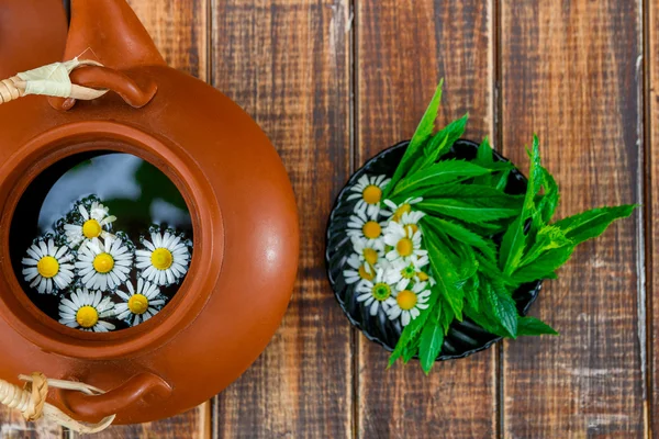 Teko coklat terbuka dengan bunga chamomile — Stok Foto