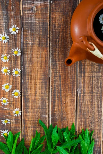 Otevřené hnědé konvici s čajem a květ heřmánku — Stock fotografie